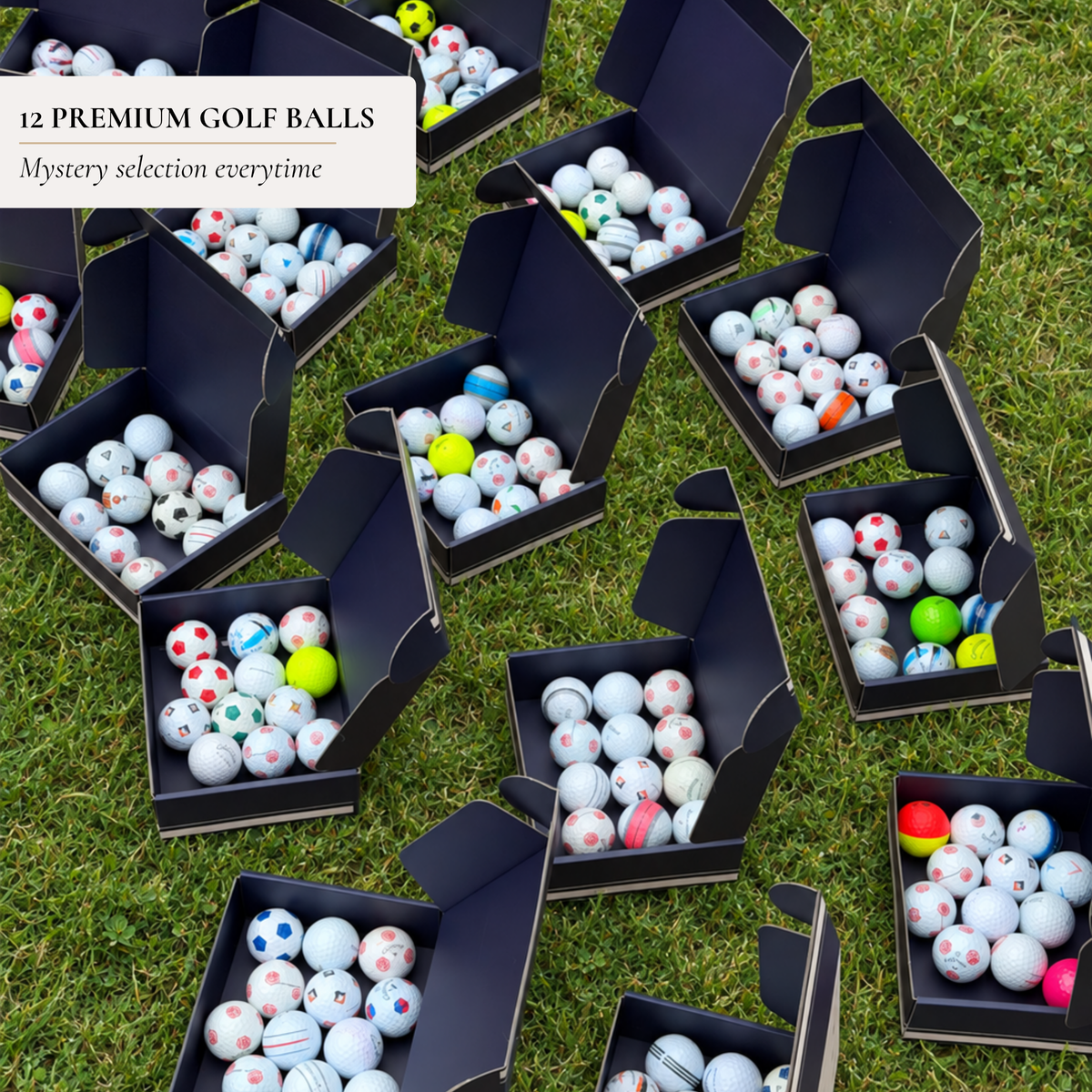 Twelve premium golf balls per box, shown as several navy Clubhouse Goods ball trays laid out on grass